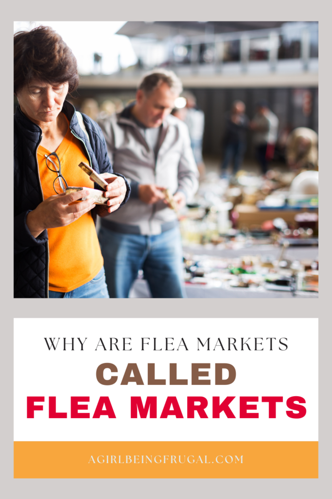 Woman visiting a flea martket below text: Why Are Flea Markets Called Flea Markets 