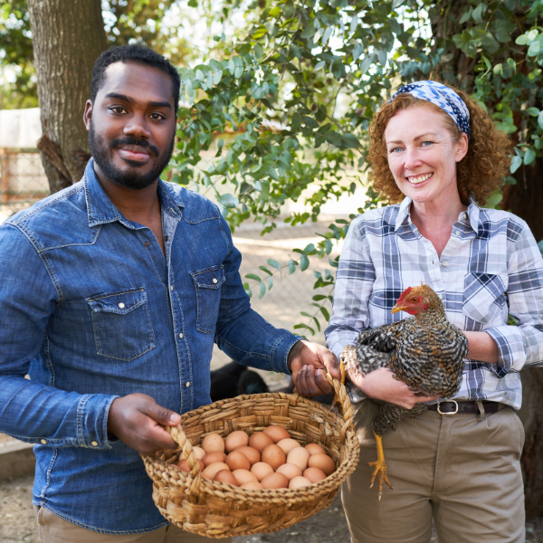 Smiling farmer couple with chicken and eggs in basket.